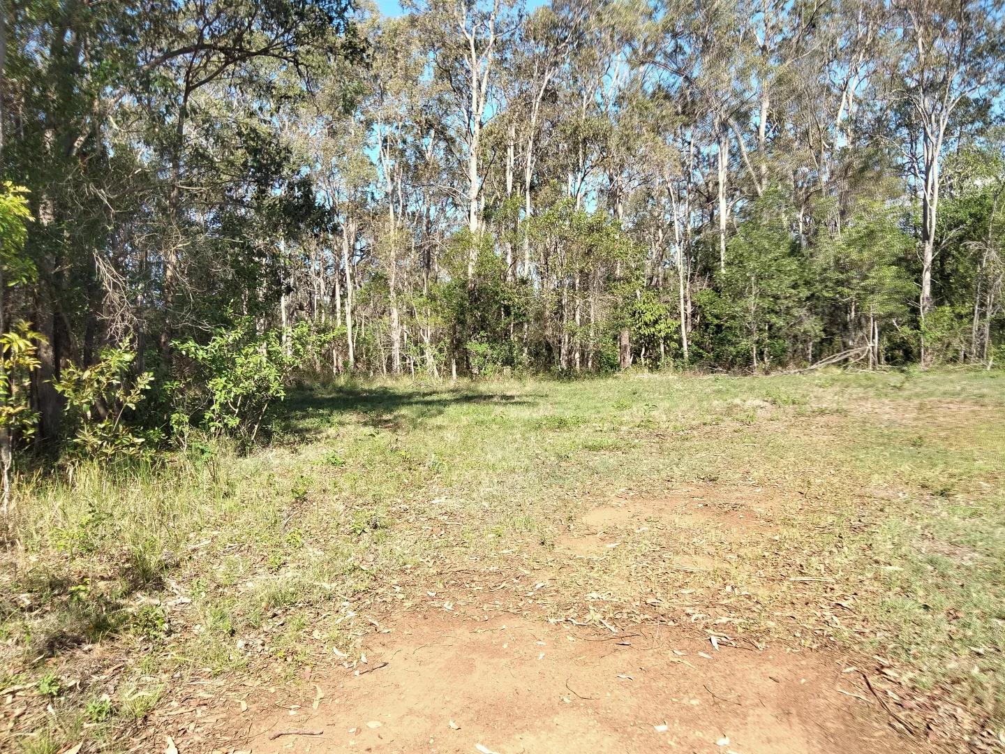 Additional image 48 of 2913 Rosedale Road, Yandaran QLD 4673