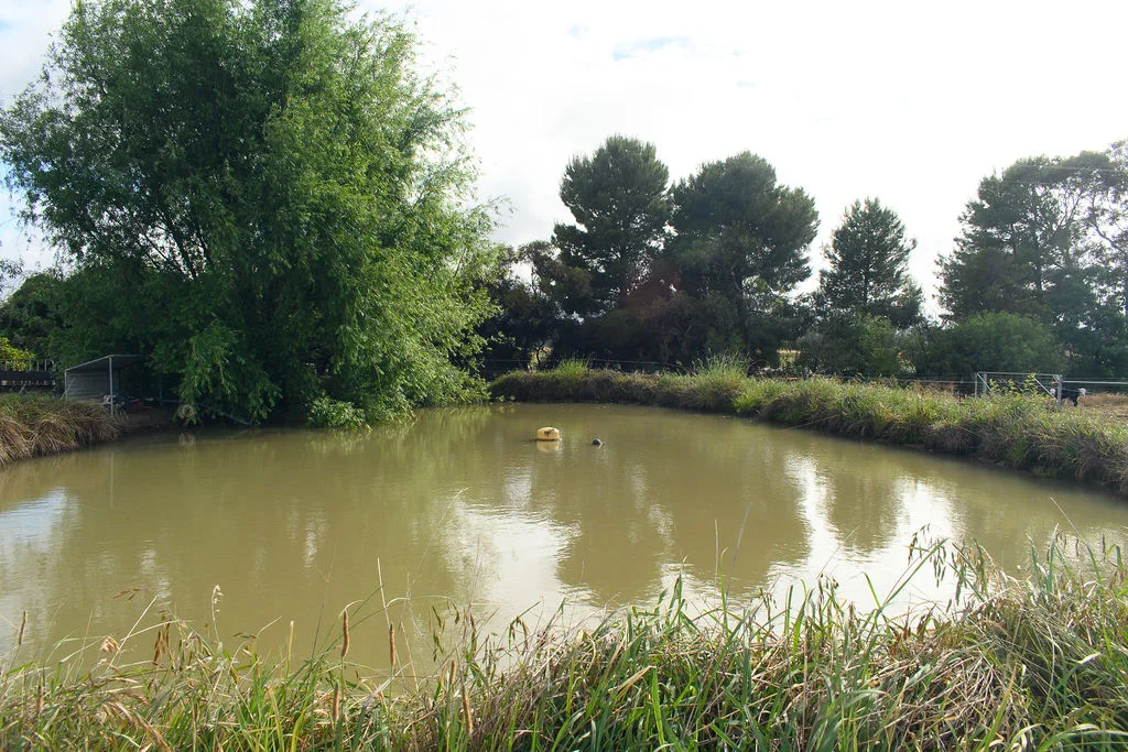 Additional image 15 of 1321 Koondrook Murrabit Road, Myall VIC 3579