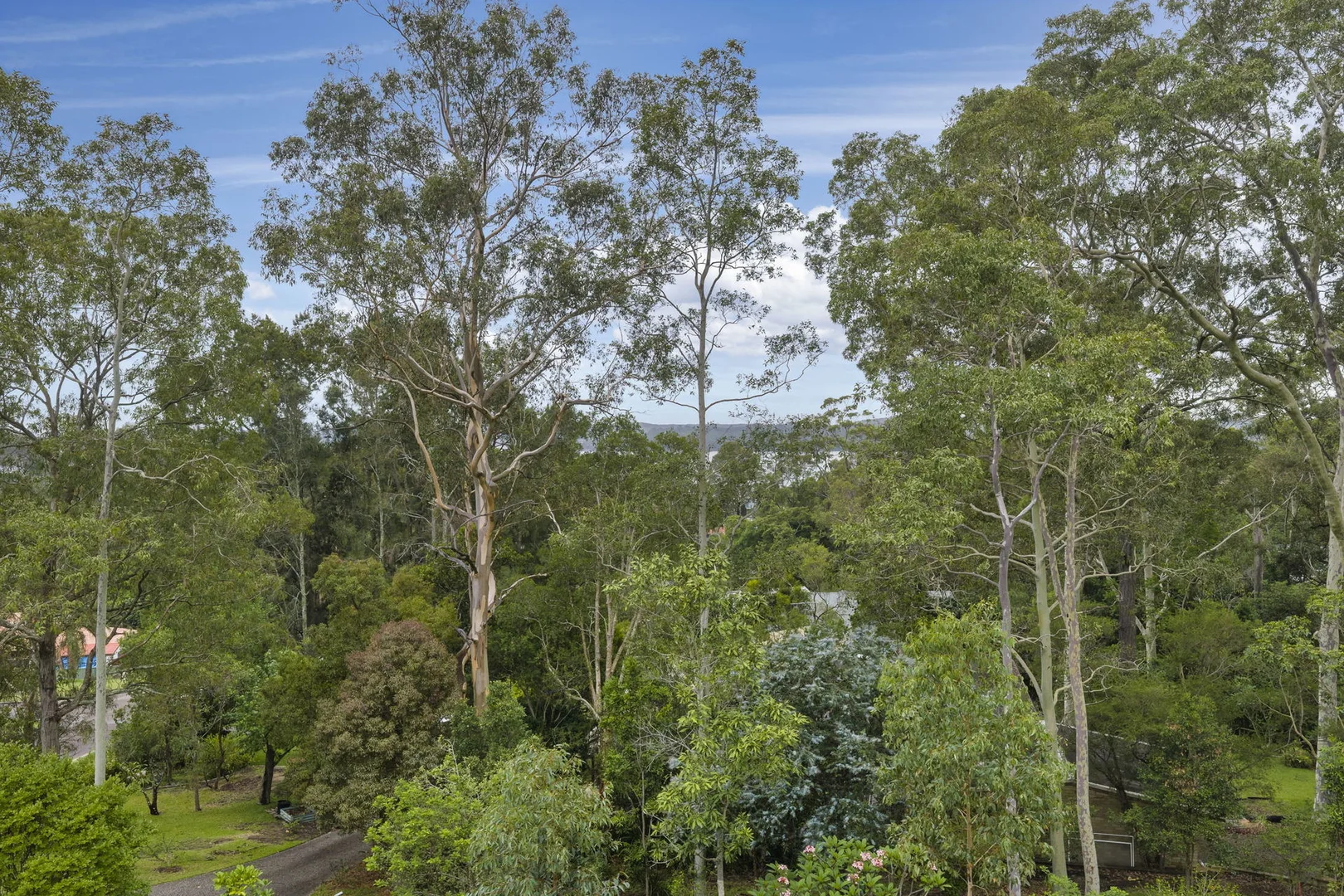 Additional image 5 of 31 Jabiru Street, Carey Bay NSW 2283