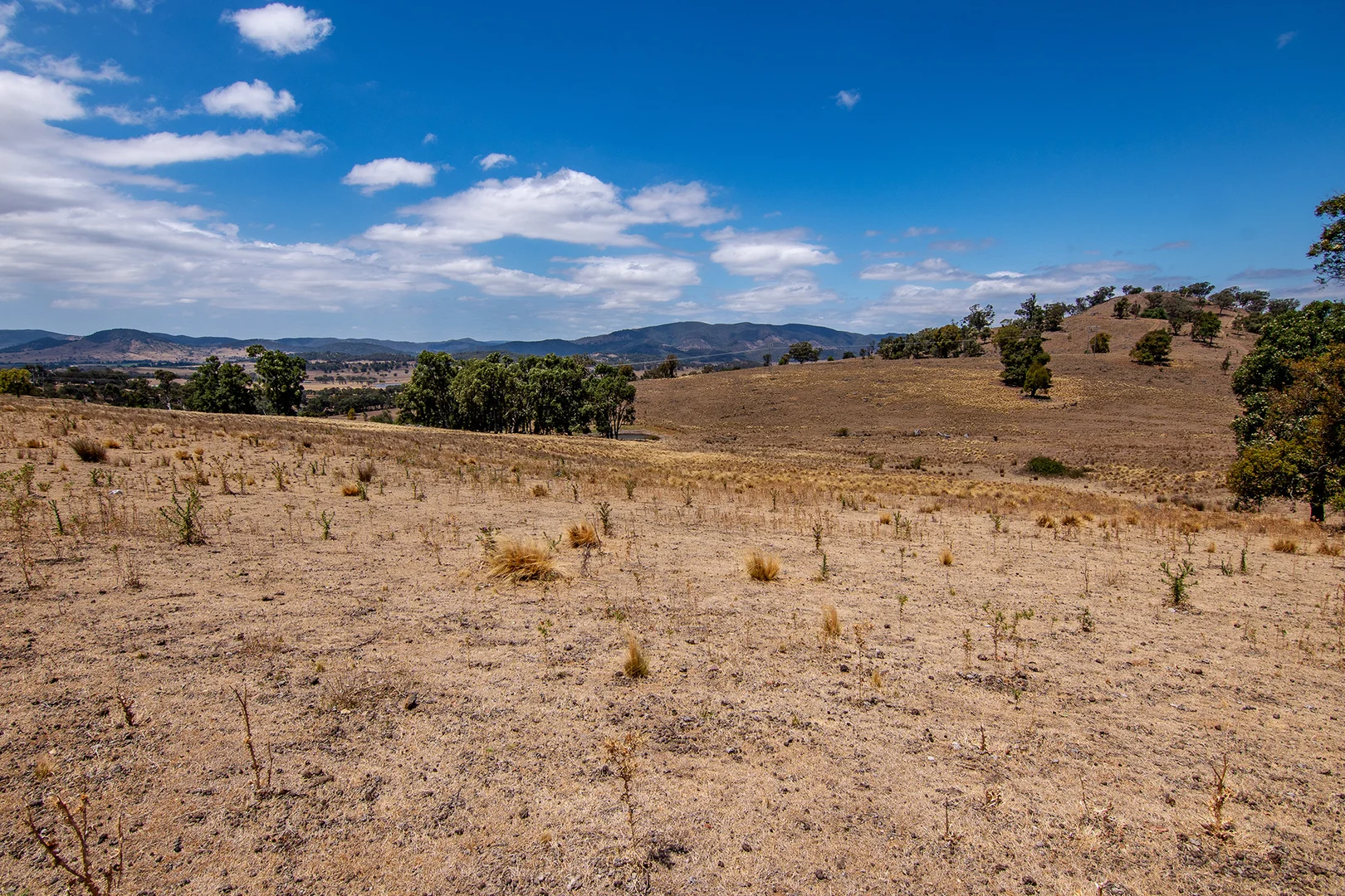 Additional image 11 of 856 Spring Flat Road, Spring Flat NSW 2850