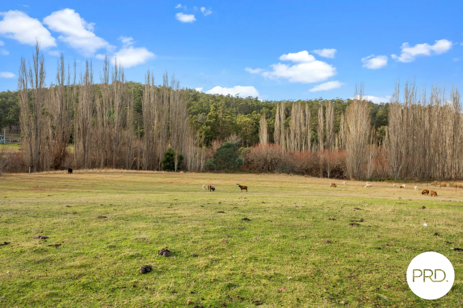Additional image 18 of 240 Ellendale Road, Fentonbury TAS 7140
