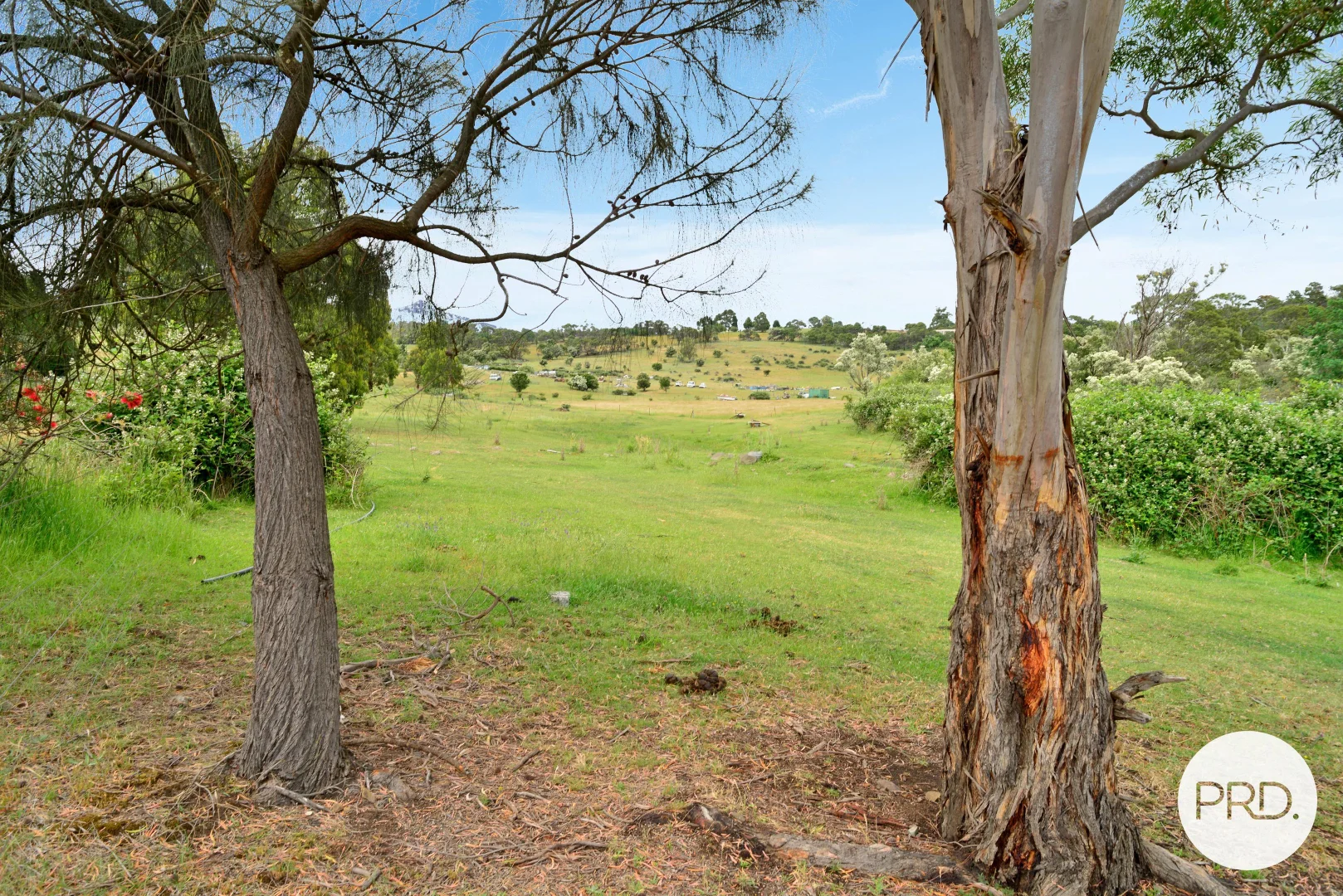 Additional image 3 of 244 Molesworth Road, Molesworth TAS 7140