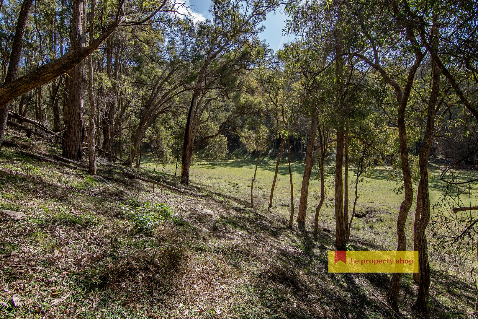 Additional image 13 of 210 Totnes Valley Road, Mudgee NSW 2850