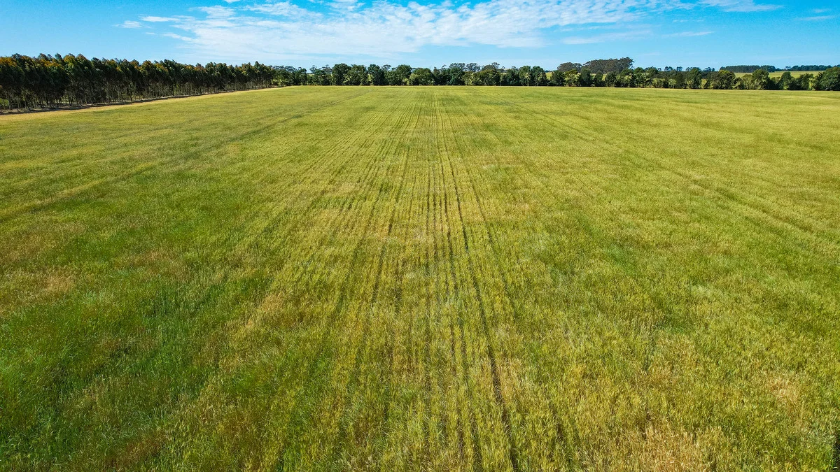 Additional image 7 of 1834 Lismore-Skipton Road, Bradvale VIC 3361