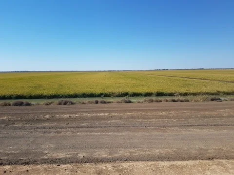 Additional image 17 of 'Kalawar' 1822 Pretty Pine Road, Morago NSW 2710