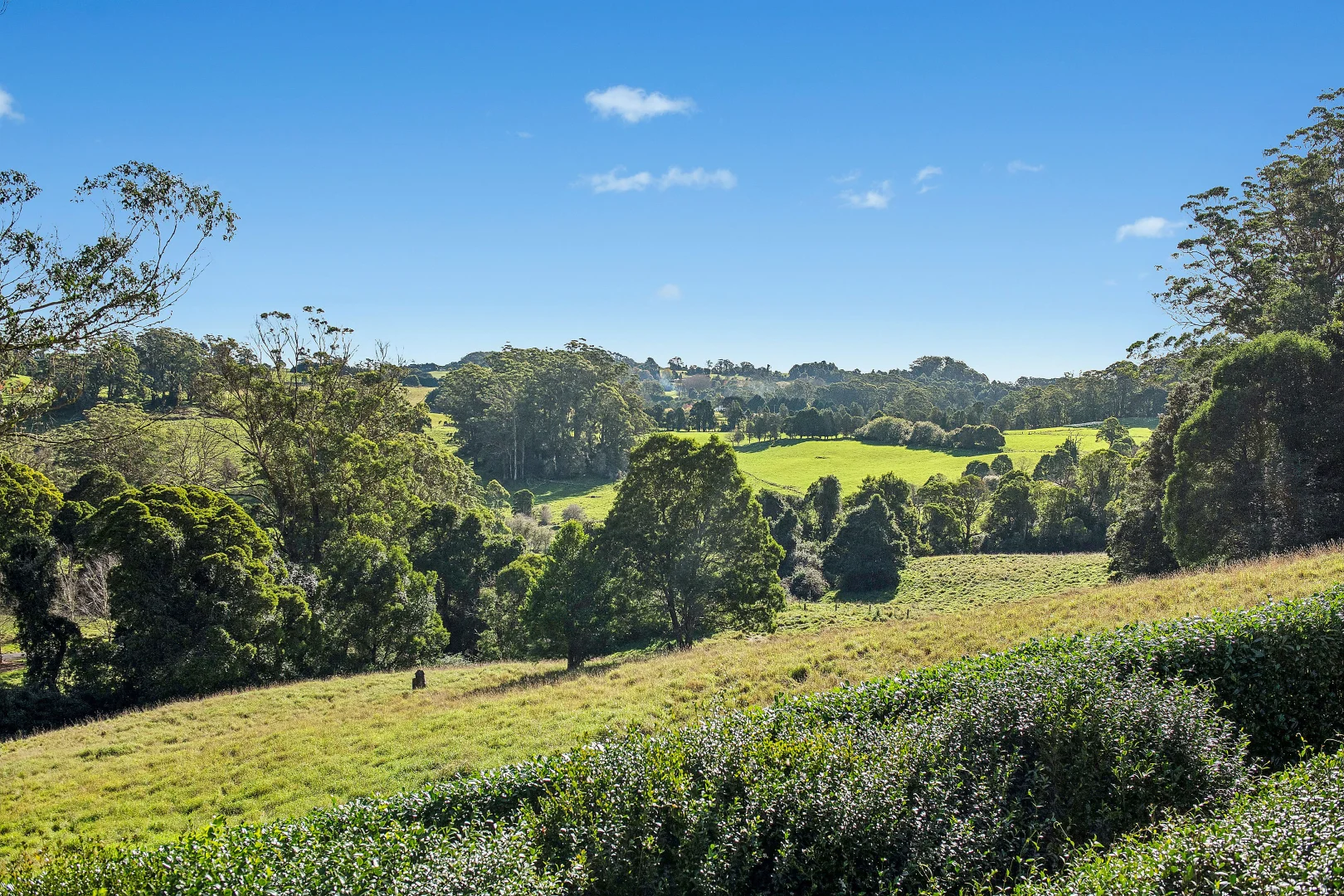 Additional image 22 of 55 Warreeah Lane, Kangaloon NSW 2576