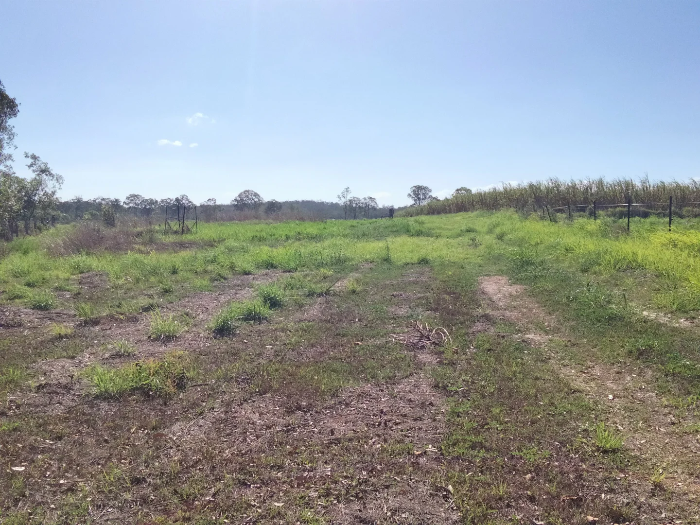 Additional image 56 of 2913 Rosedale Road, Yandaran QLD 4673