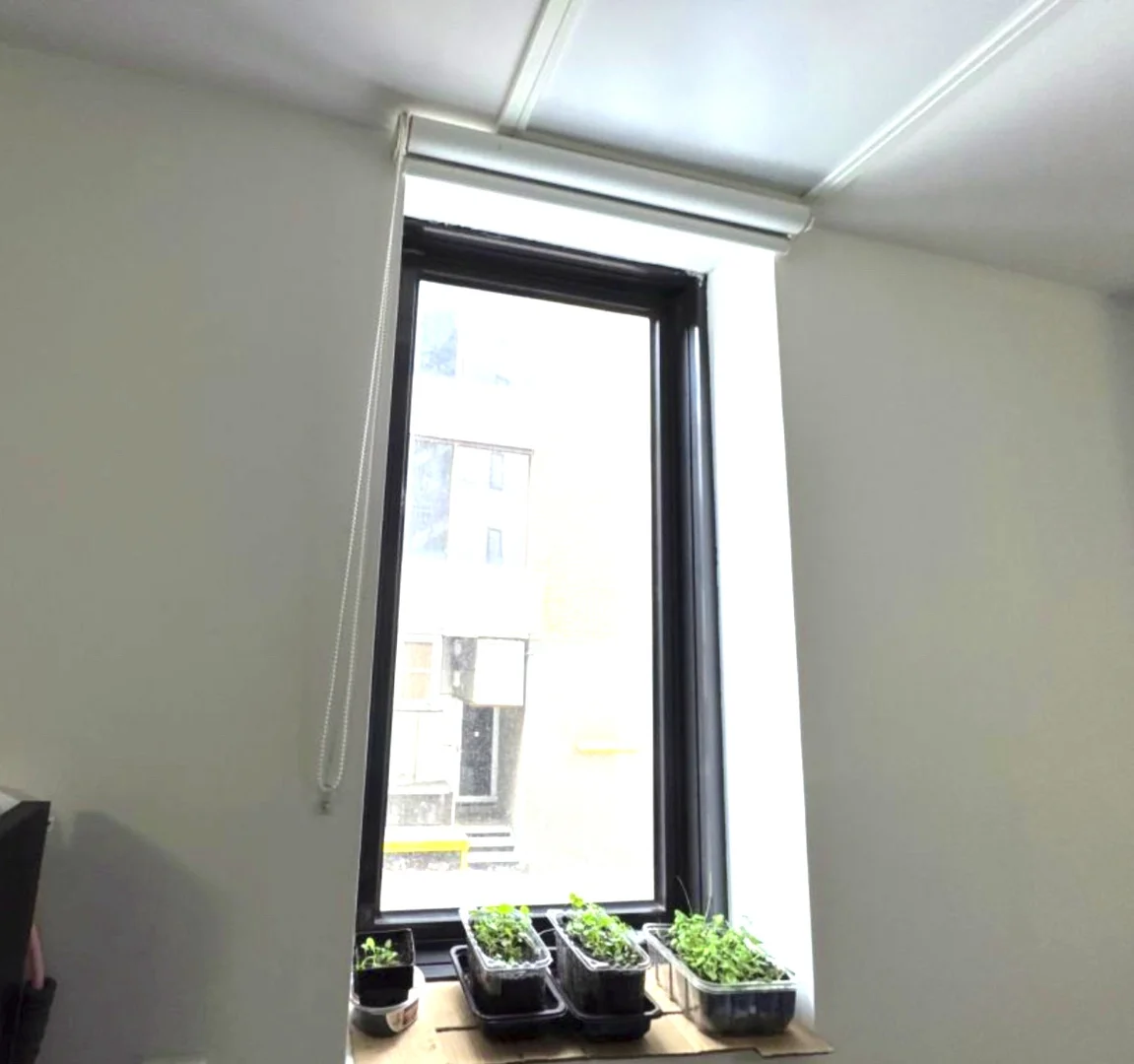 Additional image 7 of 111/K13 Raleigh Street, Windsor VIC 3181