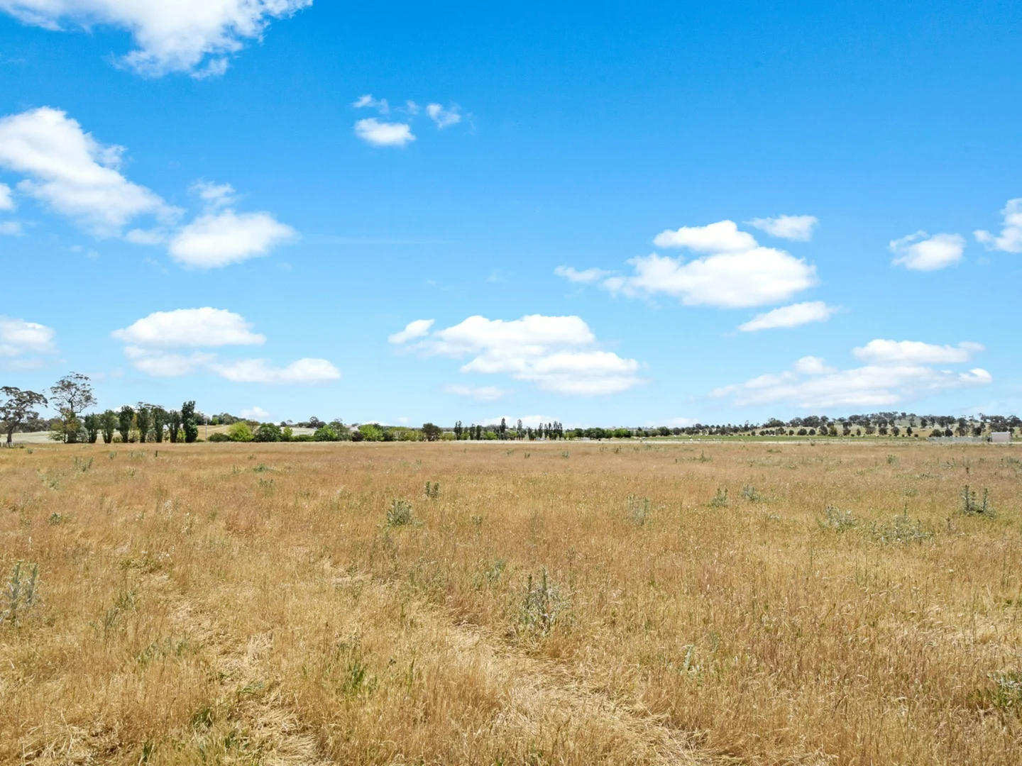 Additional image 42 of 20 Quamby SS Road, Young NSW 2594