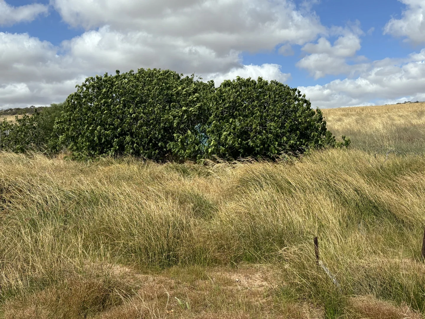 Additional image 9 of Lot 65 Forrester Road, Mount Erin WA 6532