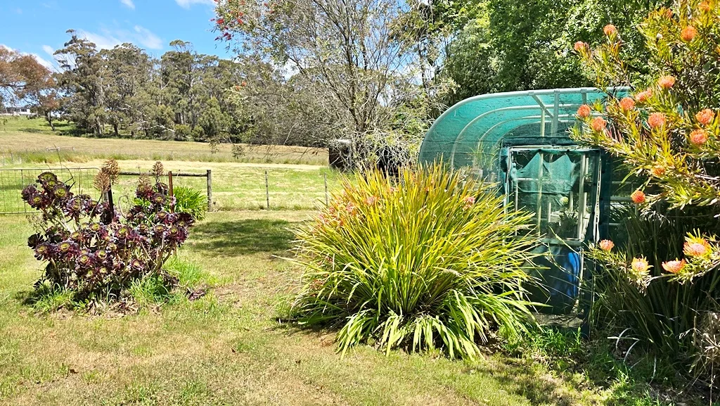 Additional image 20 of 5731 Frankford Road, Wesley Vale TAS 7307