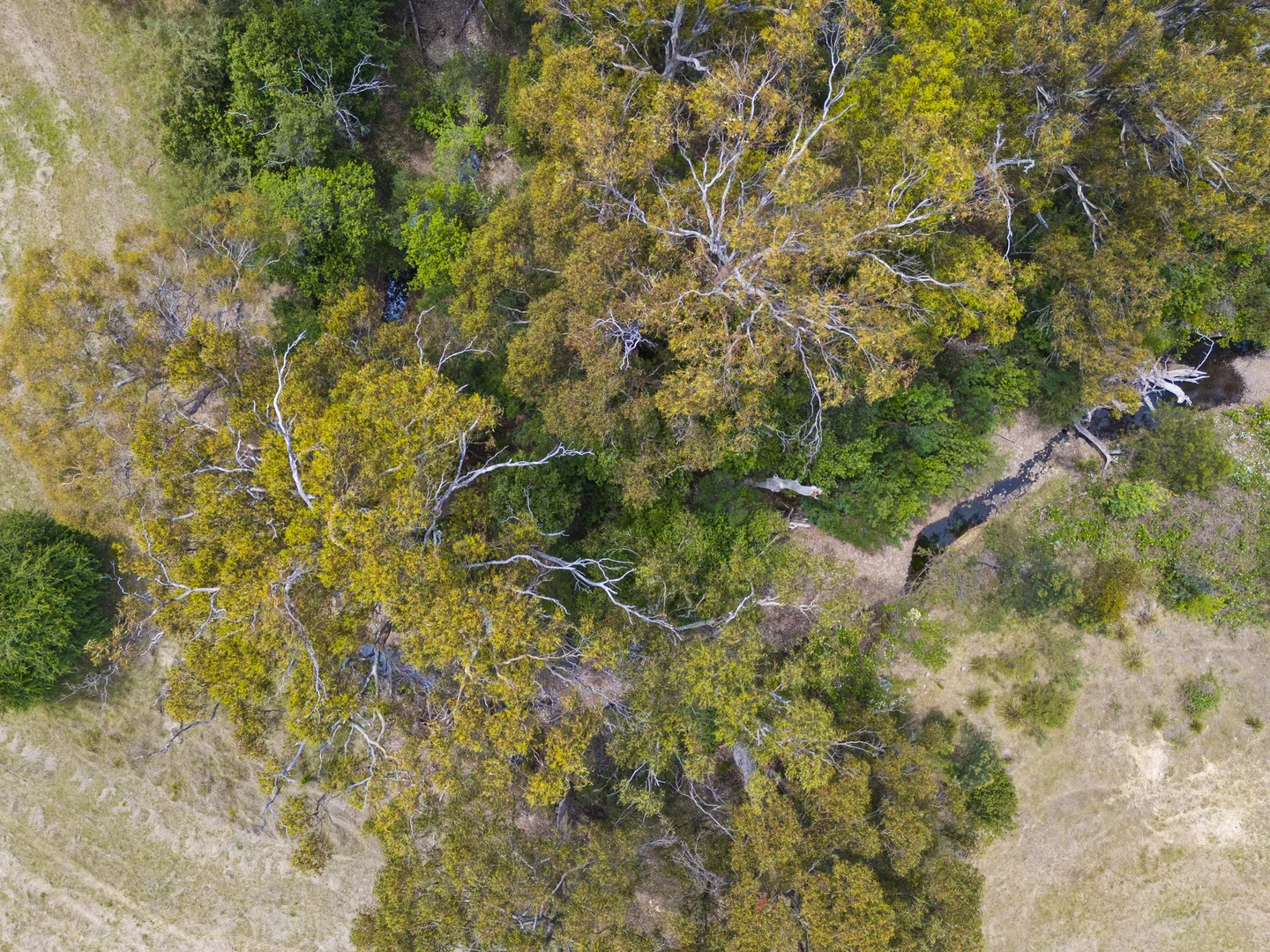 Additional image 16 of 1 Aldridge Road, Orielton TAS 7172