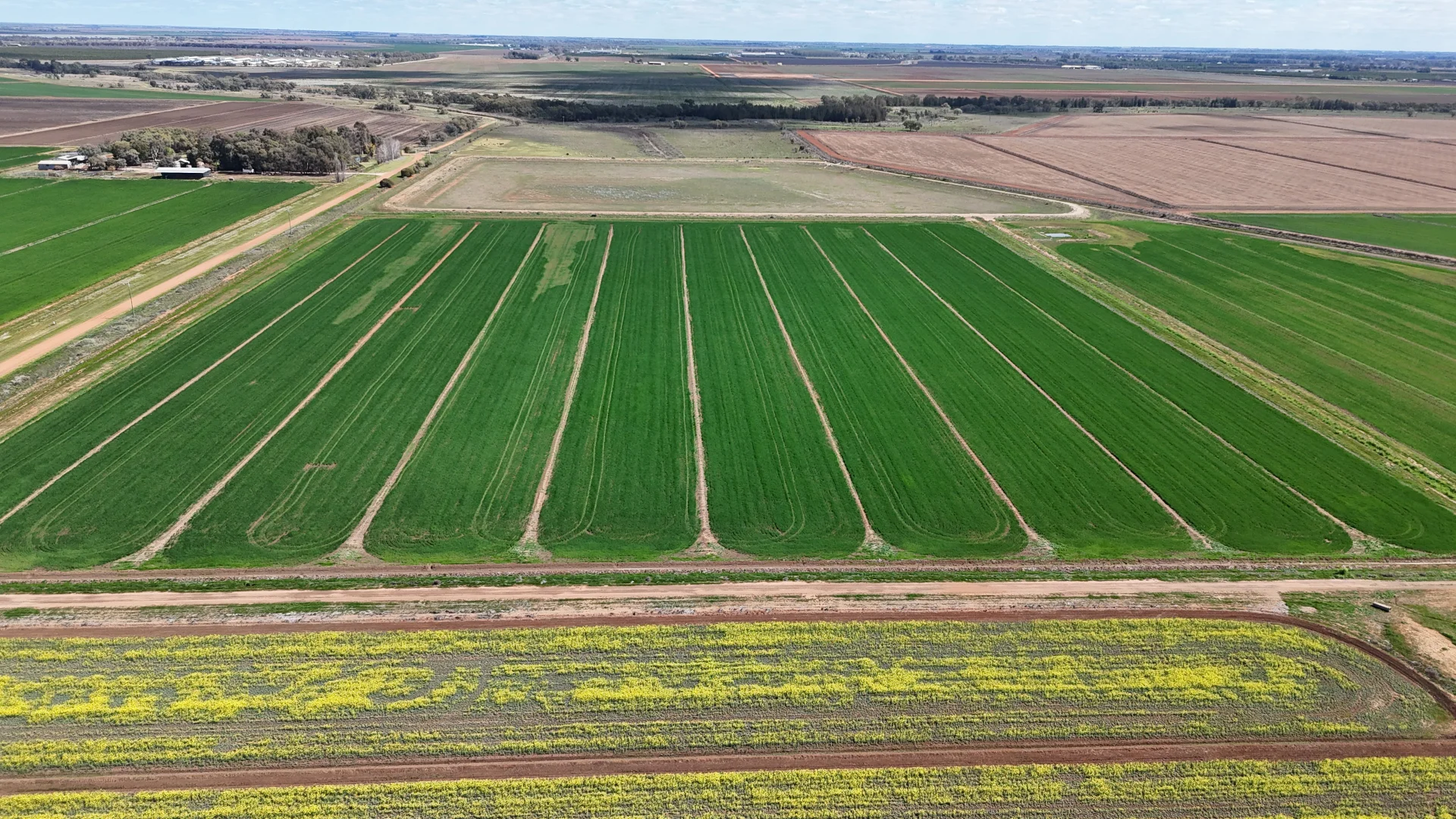 Additional image 9 of Farm 2526/408 Cashmere Road, Widgelli NSW 2680