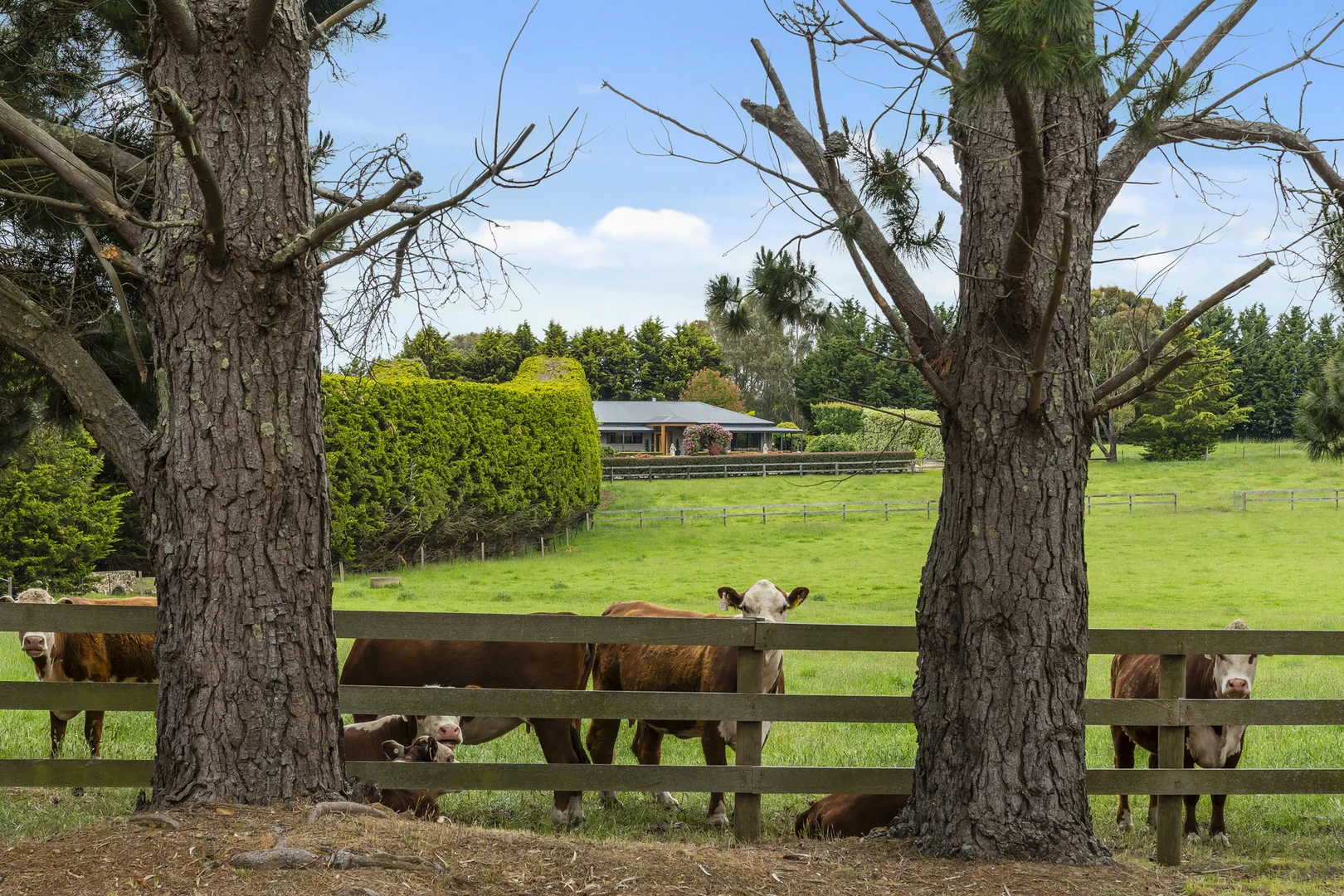 Additional image 24 of 75 Garth Road, Carlsruhe VIC 3442