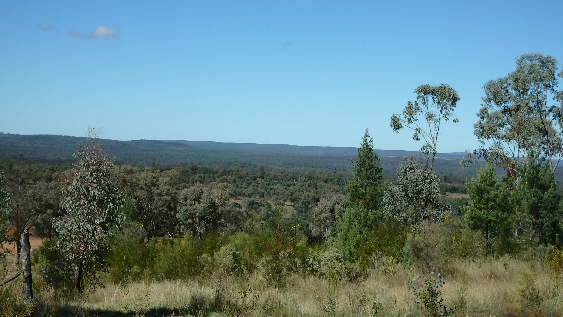 Additional image 13 of 12 Ironbark Drive, Warialda NSW 2402