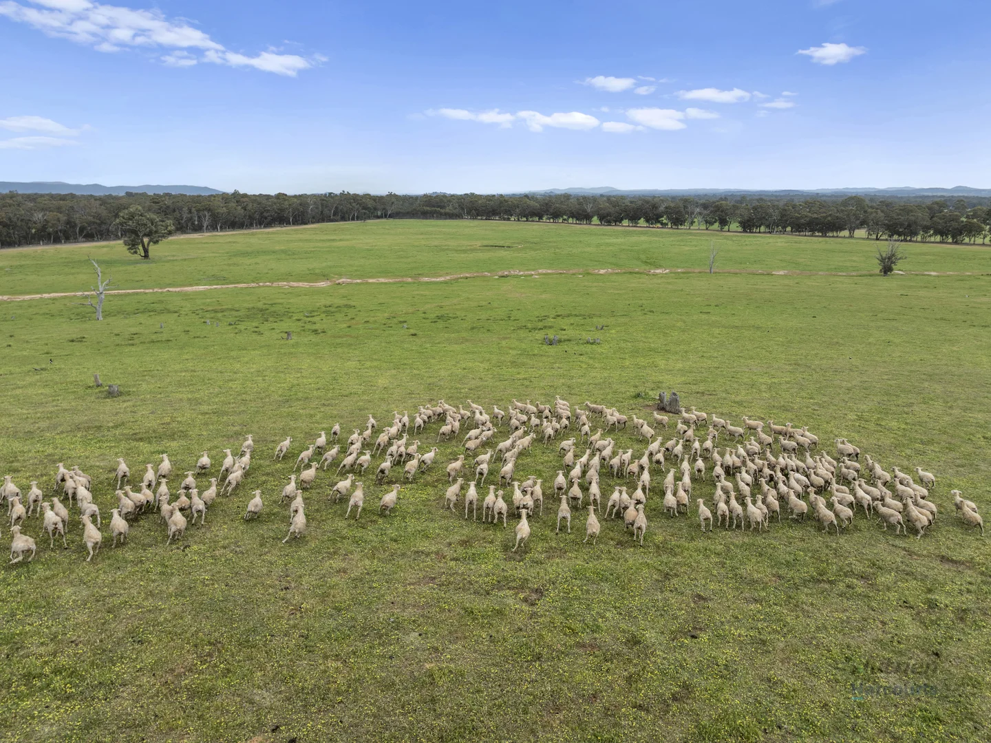 Additional image 9 of Station Road, Mangalore VIC 3663