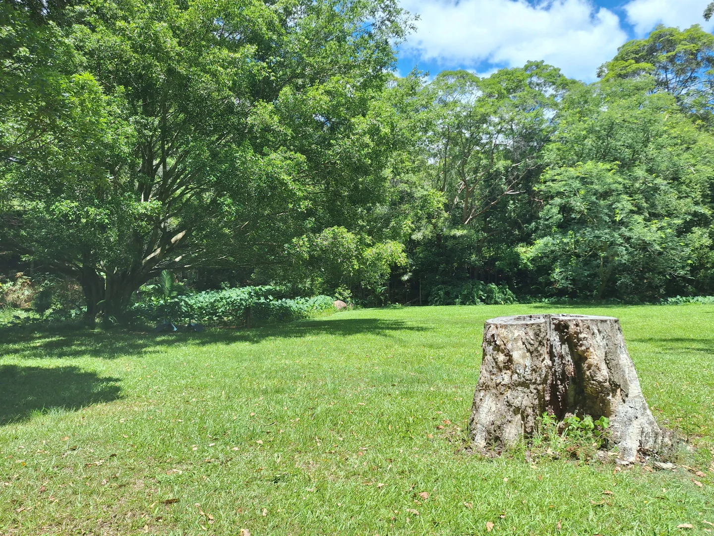 Additional image 17 of 291 Upper Crystal Creek Road, Crystal Creek NSW 2484