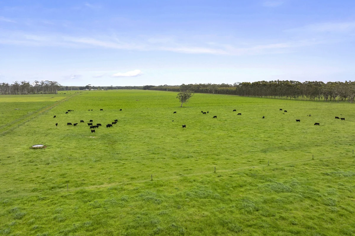 Additional image 25 of 101 Jancourt Forest Road, Carpendeit VIC 3260