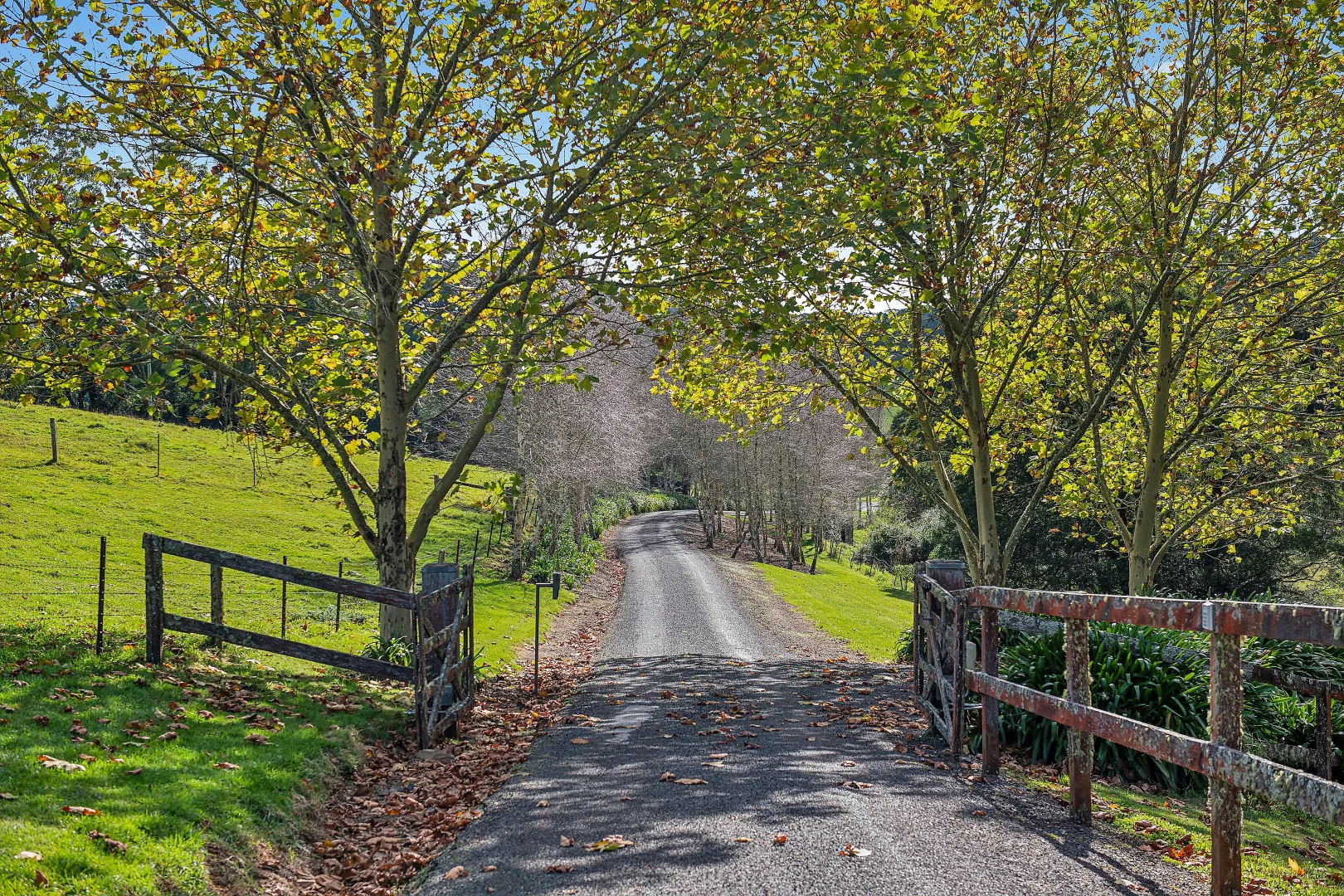 Additional image 25 of 55 Warreeah Lane, Kangaloon NSW 2576