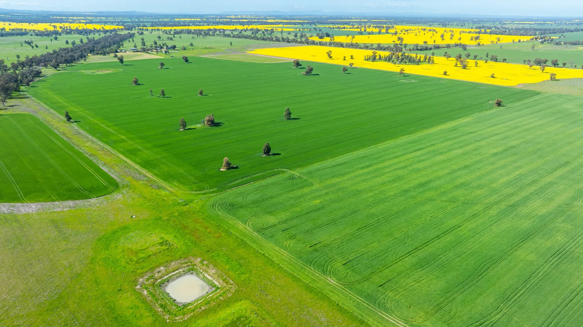 153 Balldale-Coreen Road, Corowa NSW 2646