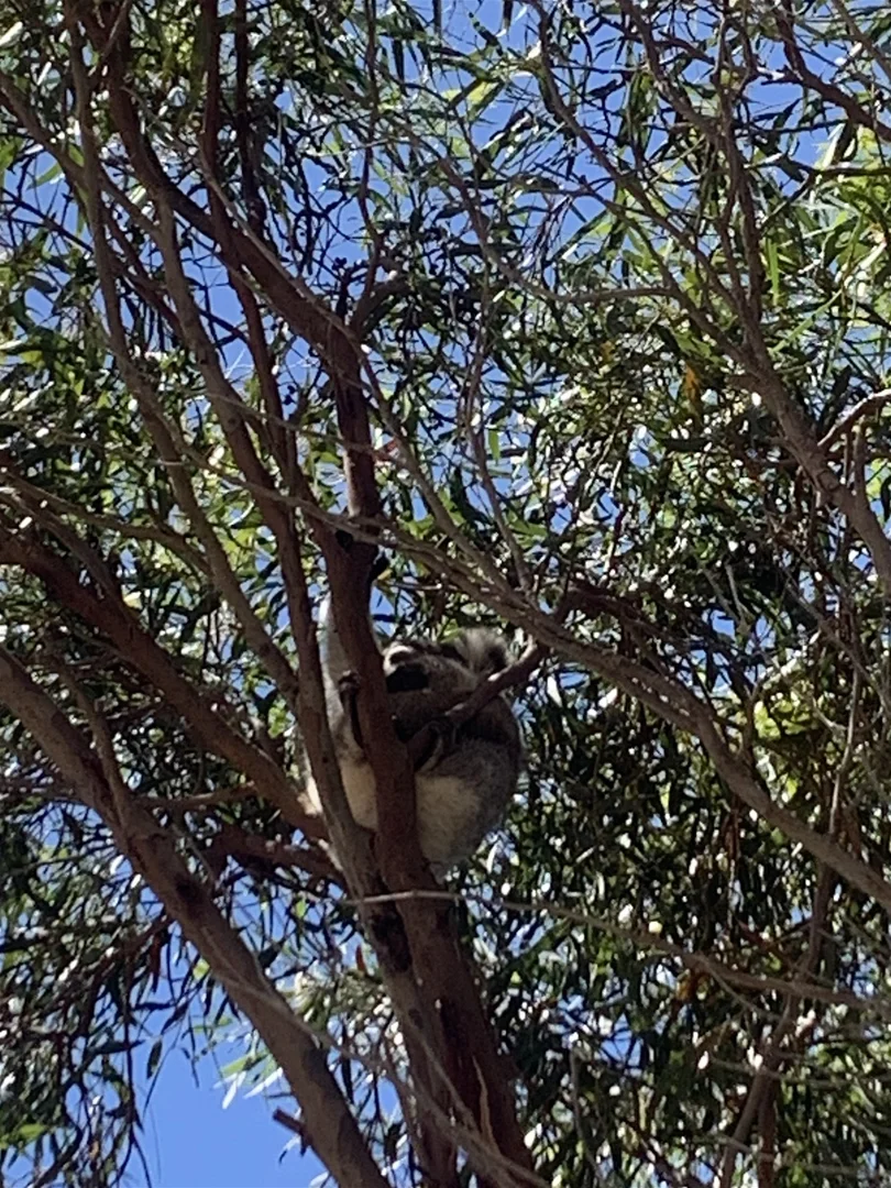 Additional image 22 of 142 Florance Road, Haines SA 5223