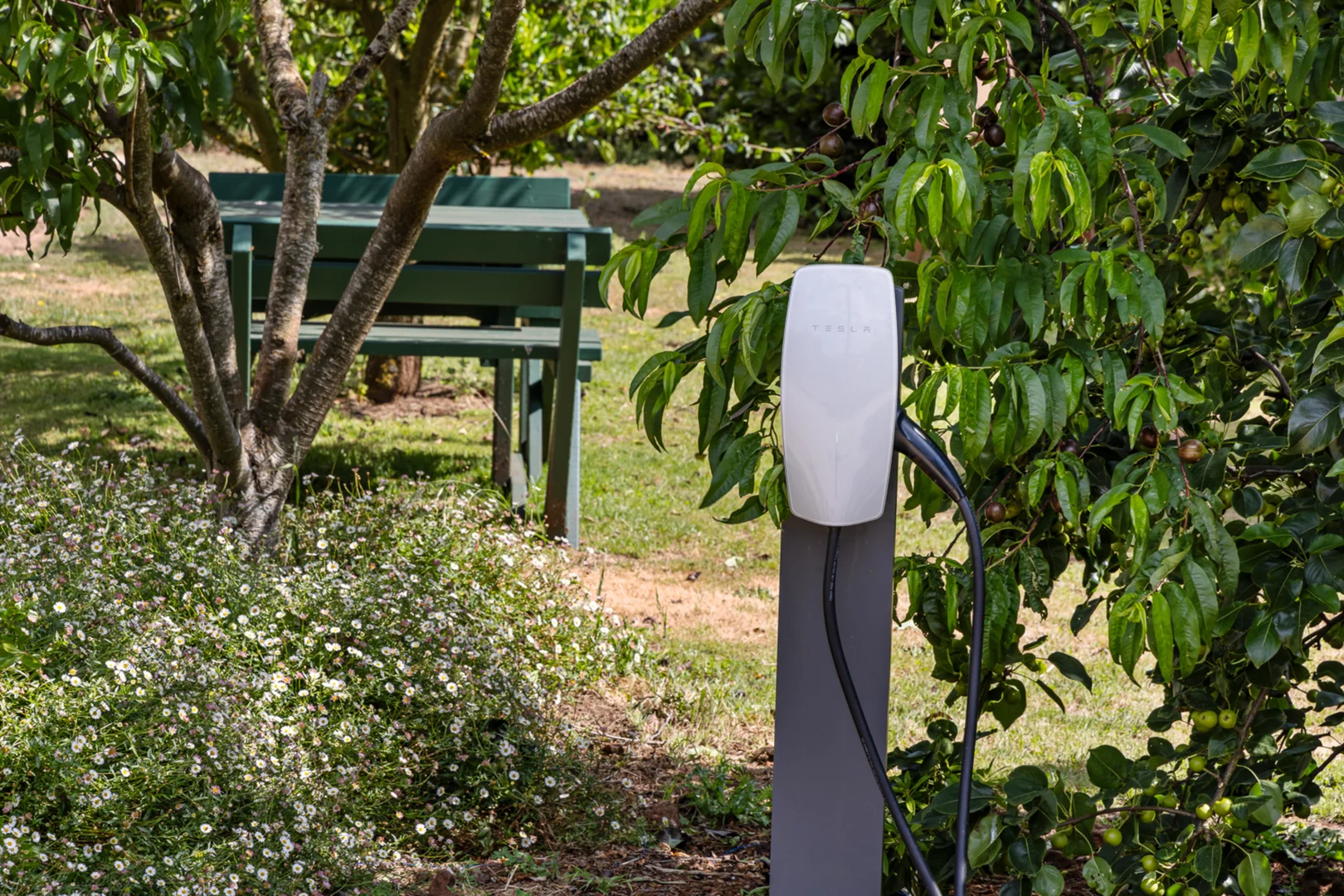 Additional image 22 of 170 Reidys Road, Bungaree VIC 3352