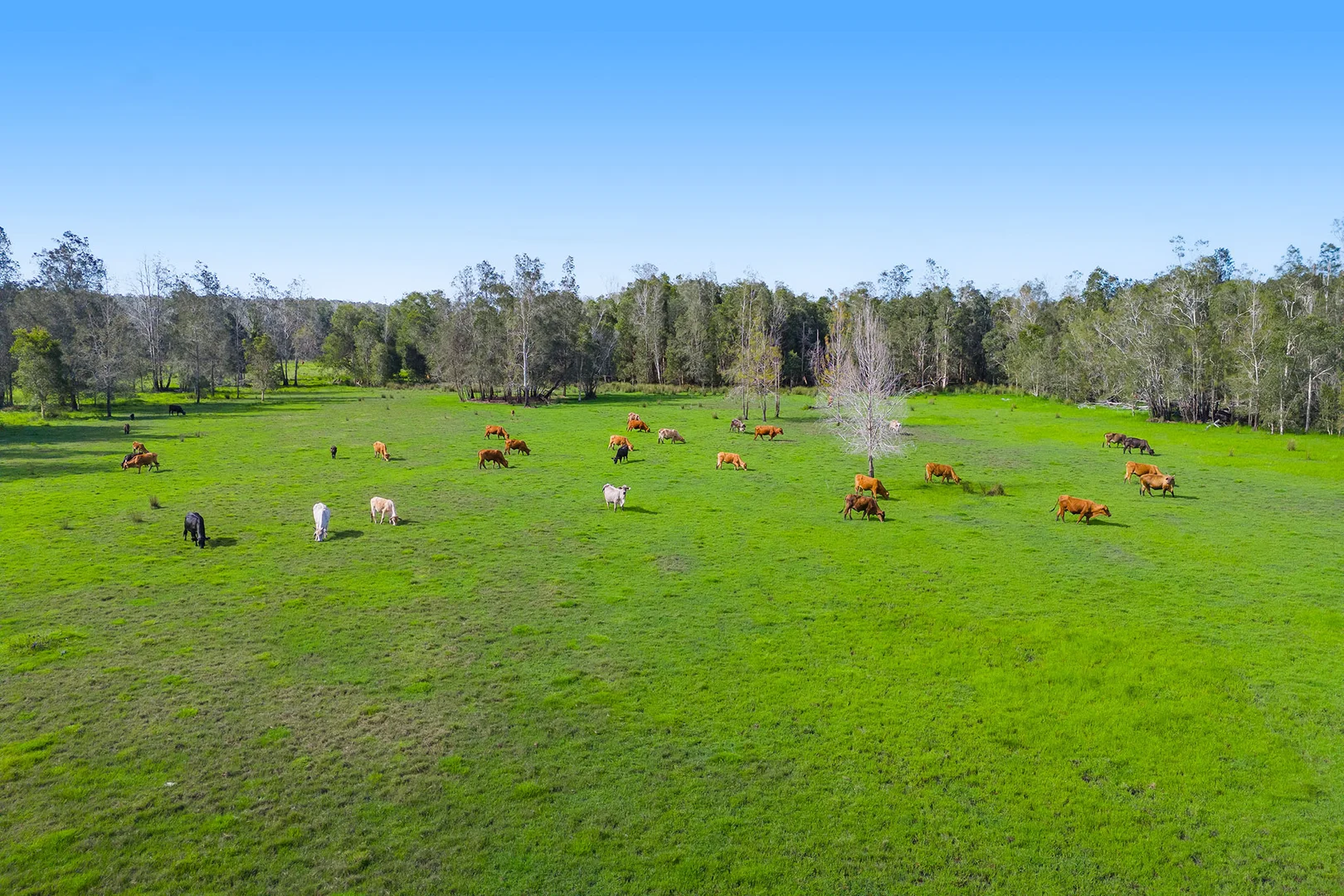 Additional image 7 of 1/437 Seale Road, Belmore River NSW 2440