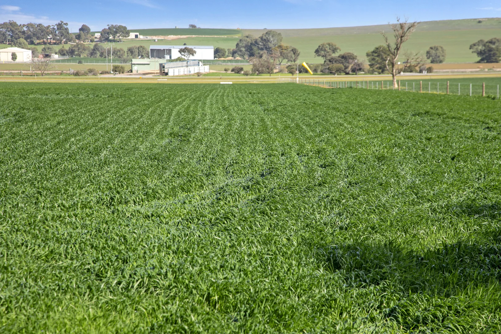 Additional image 18 of 'Hamilton Run Farm' Murchland Drive, Jamestown SA 5491