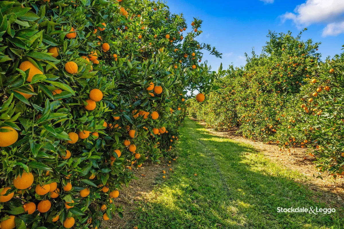 Additional image 32 of 154-198 Torgannah Road, Koonoomoo VIC 3644