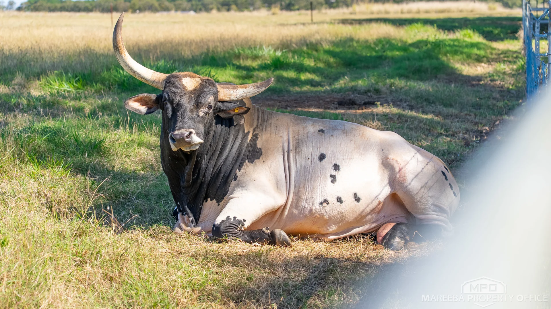Additional image 58 of 76 Davies Creek Road, Mareeba QLD 4880