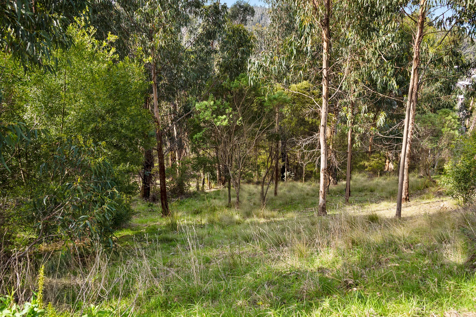 Additional image 7 of 1 Dunoon Road, Wye River VIC 3234