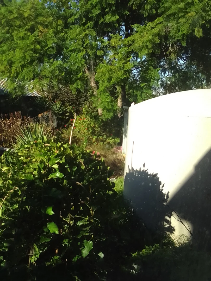 Additional image 19 of 18 Ryan Street, Rainbow VIC 3424