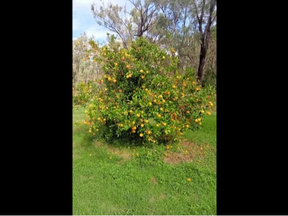 Additional image 7 of Lot 86 Tralee Road, Pratten QLD 4370