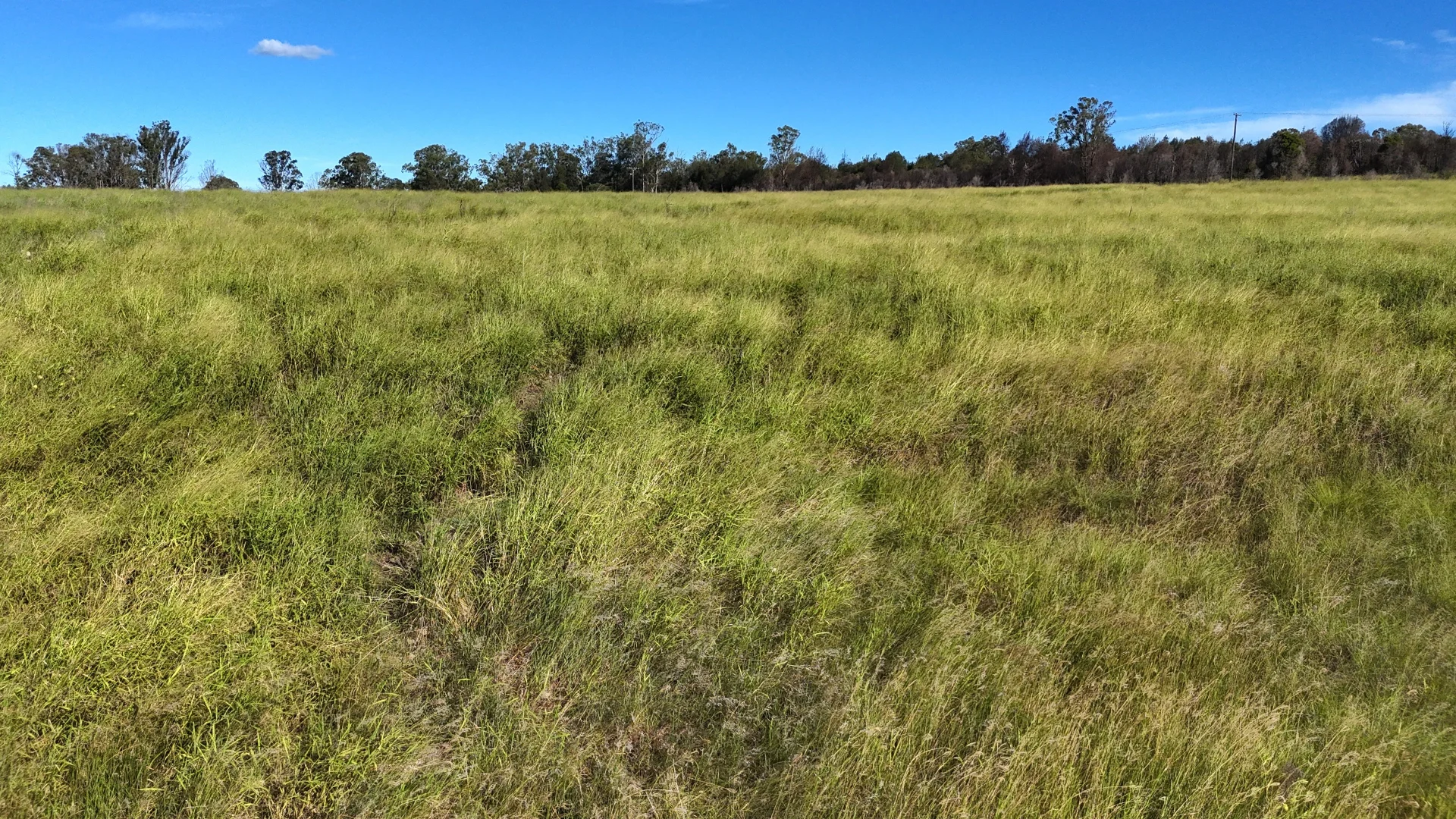 Additional image 2 of Lot 112 Wondai Proston Road, Wondai QLD 4606