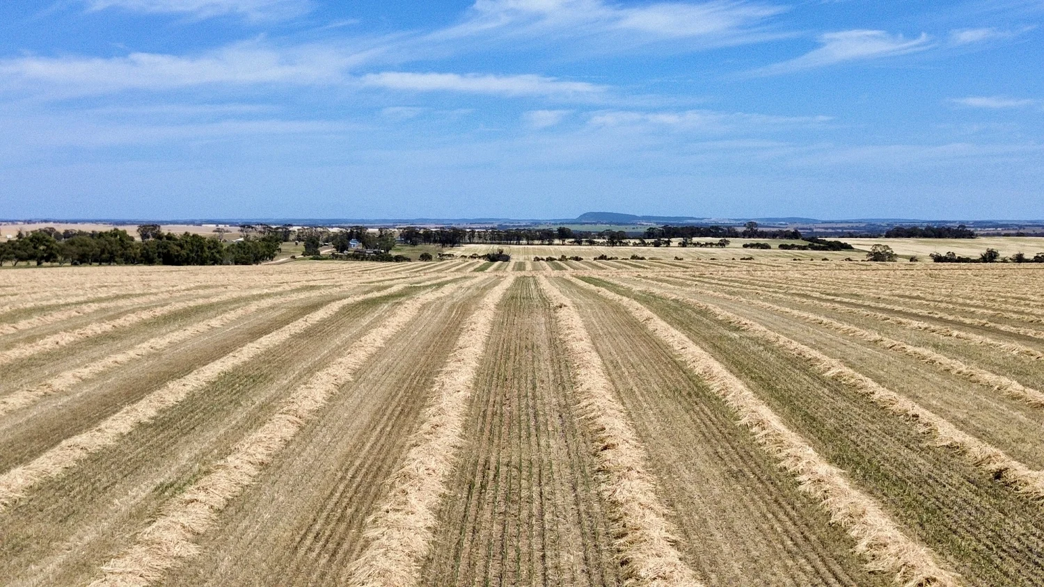 Additional image 5 of Lot/10295 Hills Road, Warding East WA 6405