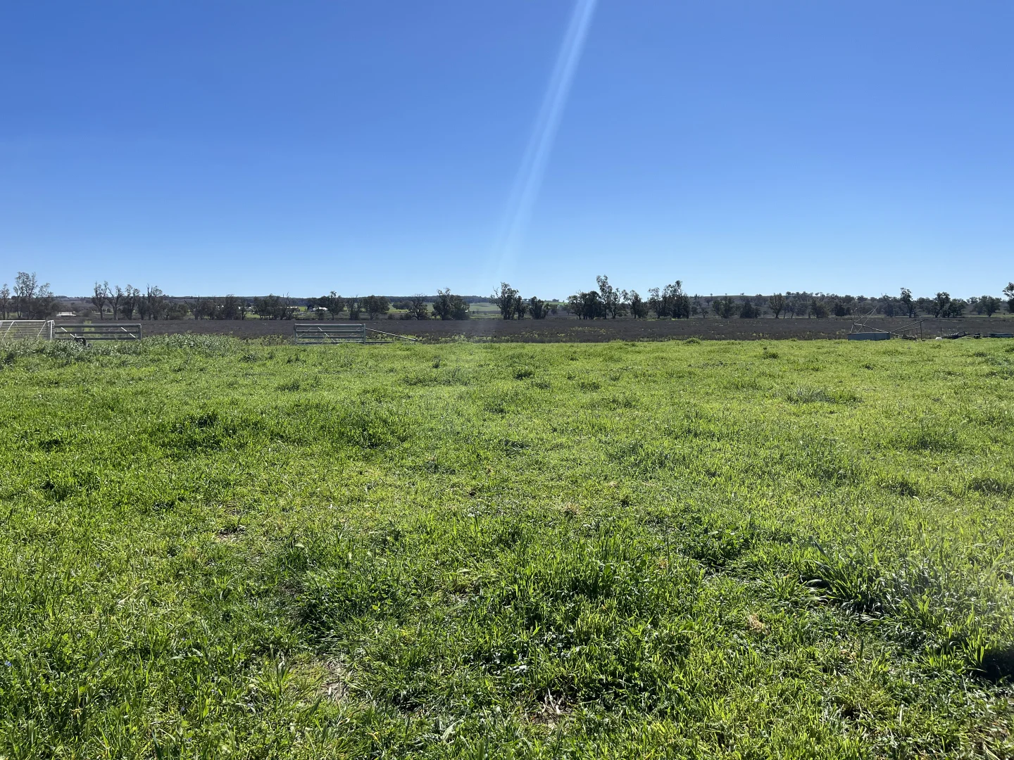 Additional image 14 of "Piambra" 714 Piambra Road, Binnaway NSW 2395