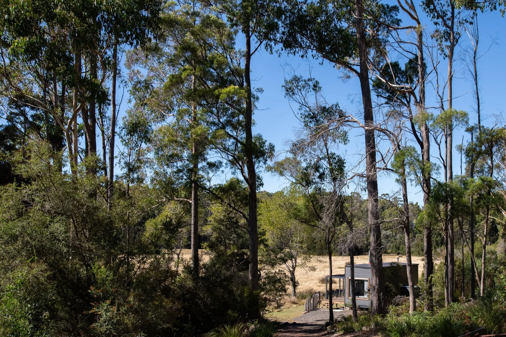 Additional image 8 of 144 Cherry Farm Road, Underwood TAS 7268