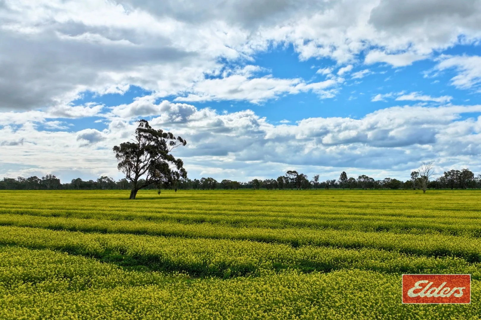 Additional image 2 of Lot 2 Old Barmah Road, Moama NSW 2731