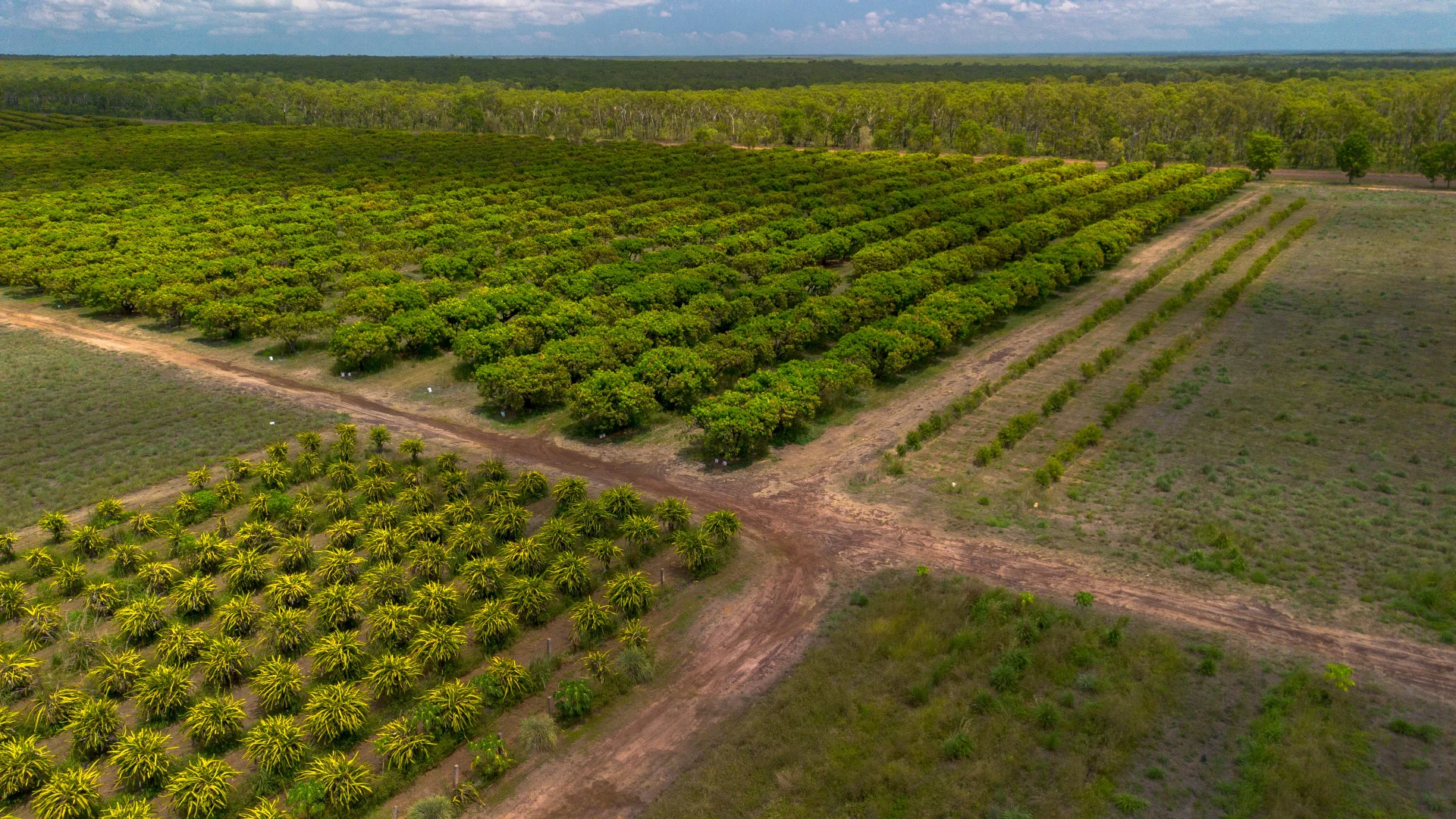 Additional image 6 of 25 Cooke Road, Lambells Lagoon NT 0822