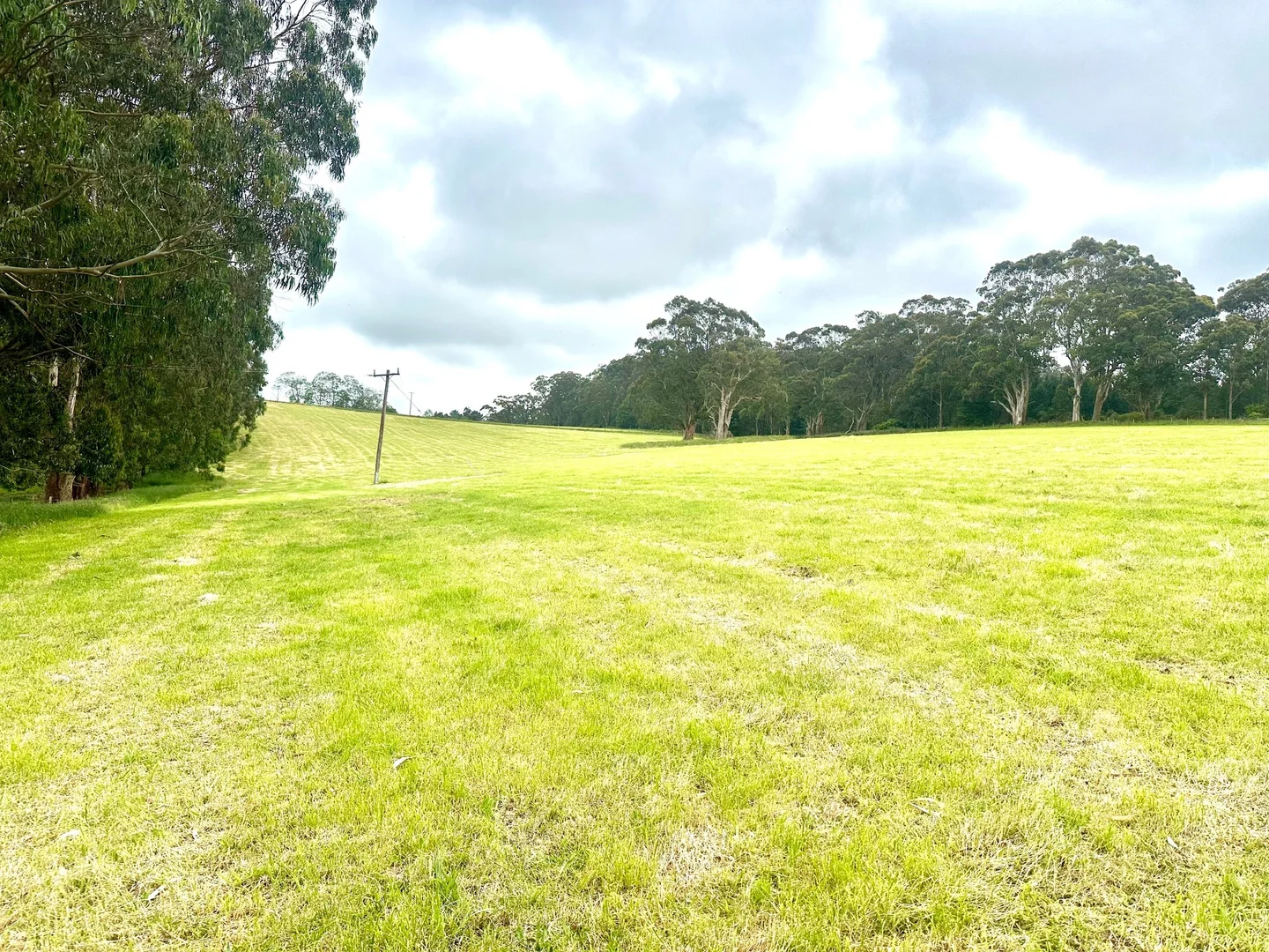 Additional image 8 of 655 Old Thorpdale Road, Mirboo North VIC 3871