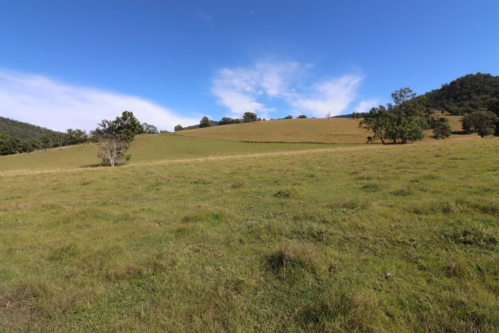 Additional image 10 of 2 Lower Creek Rd, Lower Creek NSW 2440