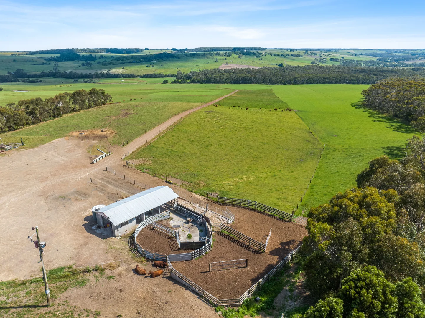 Additional image 10 of 876 Cobden Port Campbell Road, Scotts Creek VIC 3267