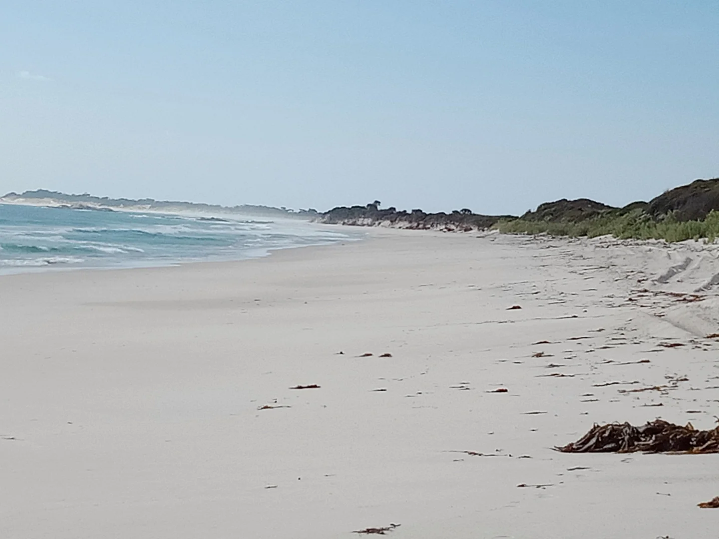 Additional image 32 of 21 Swan Street, Musselroe Bay TAS 7264