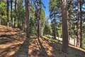 Additional image 24 of 170 Fairway Dr, Lake Arrowhead, CA, 92352