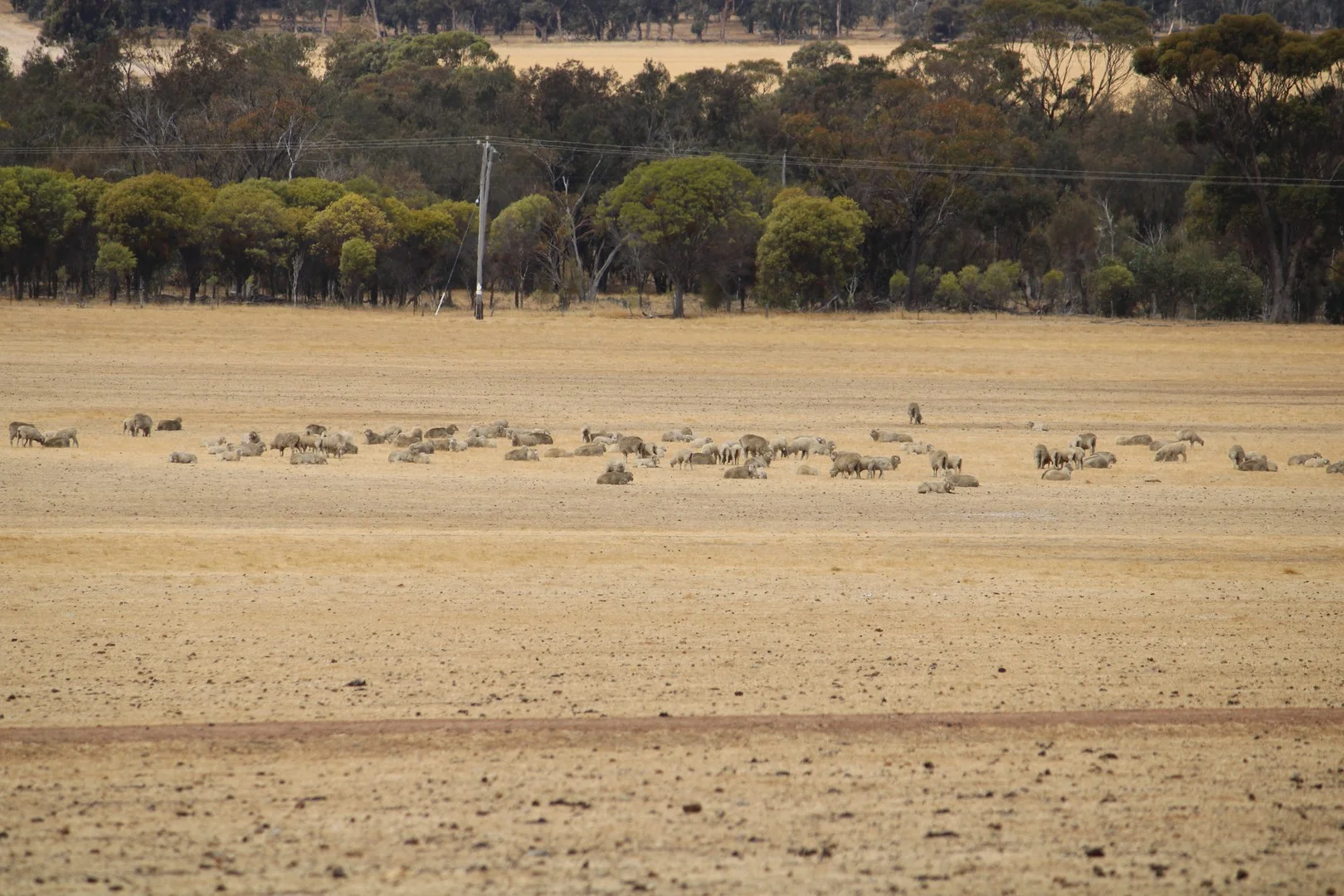191 Great Southern Highway, Woodanilling WA 6316