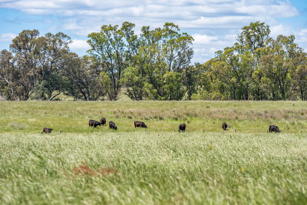 Additional image 28 of 672 Lima East Road, Lima East VIC 3673
