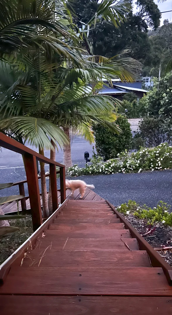 Additional image 8 of 42 Hillside Parade Road, Elizabeth Beach NSW 2428