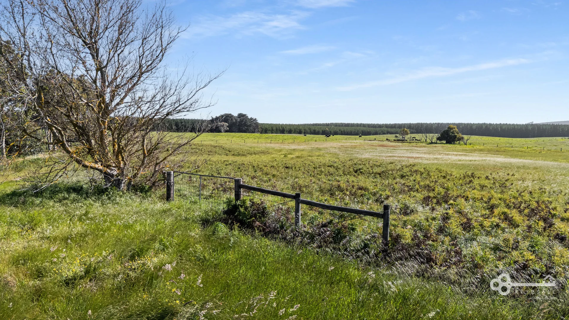 Additional image 2 of 16 Thomas Road, Glencoe SA 5291