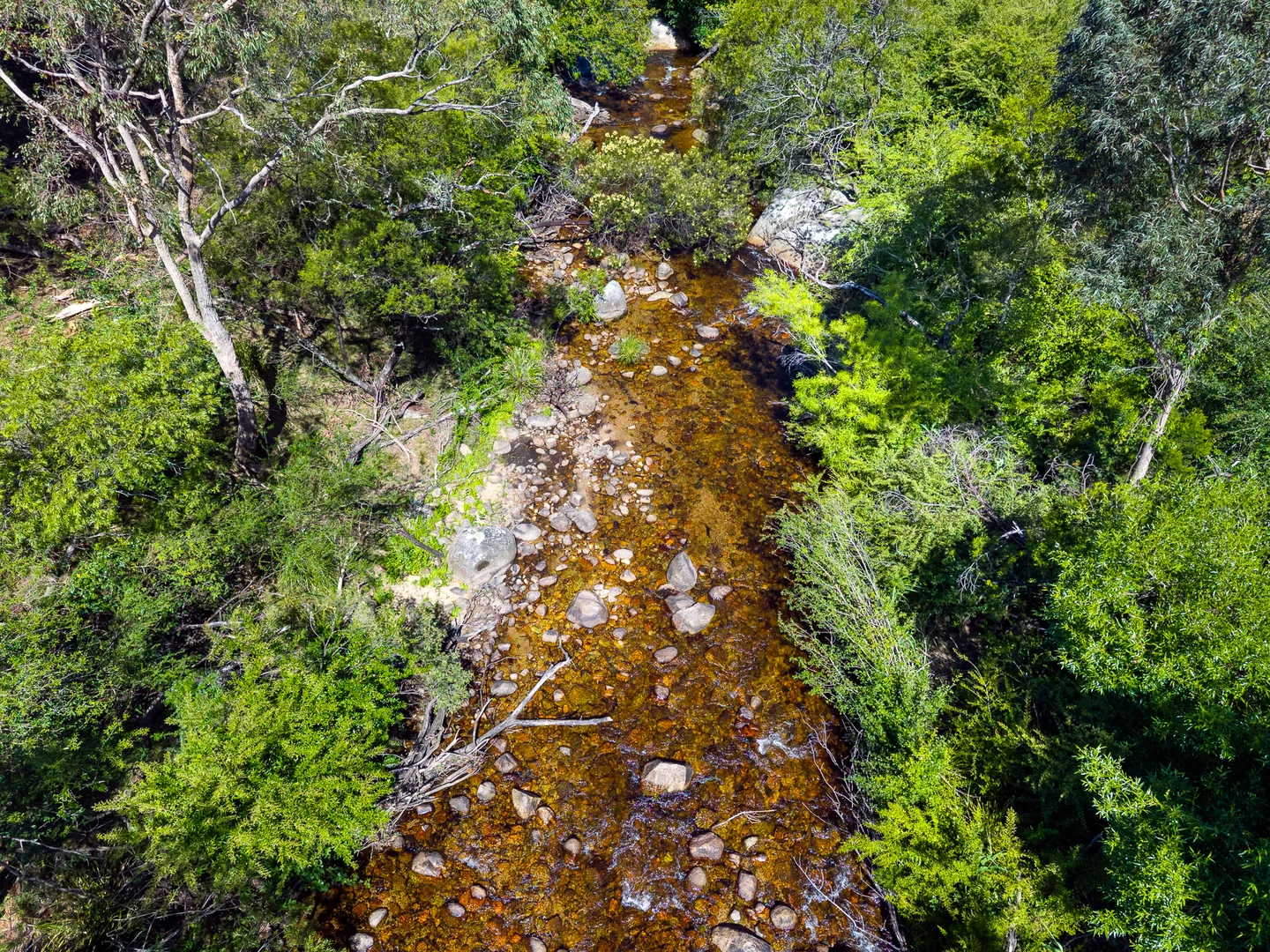 Additional image 24 of 247 Brown Pearsons Road, Bemboka NSW 2550