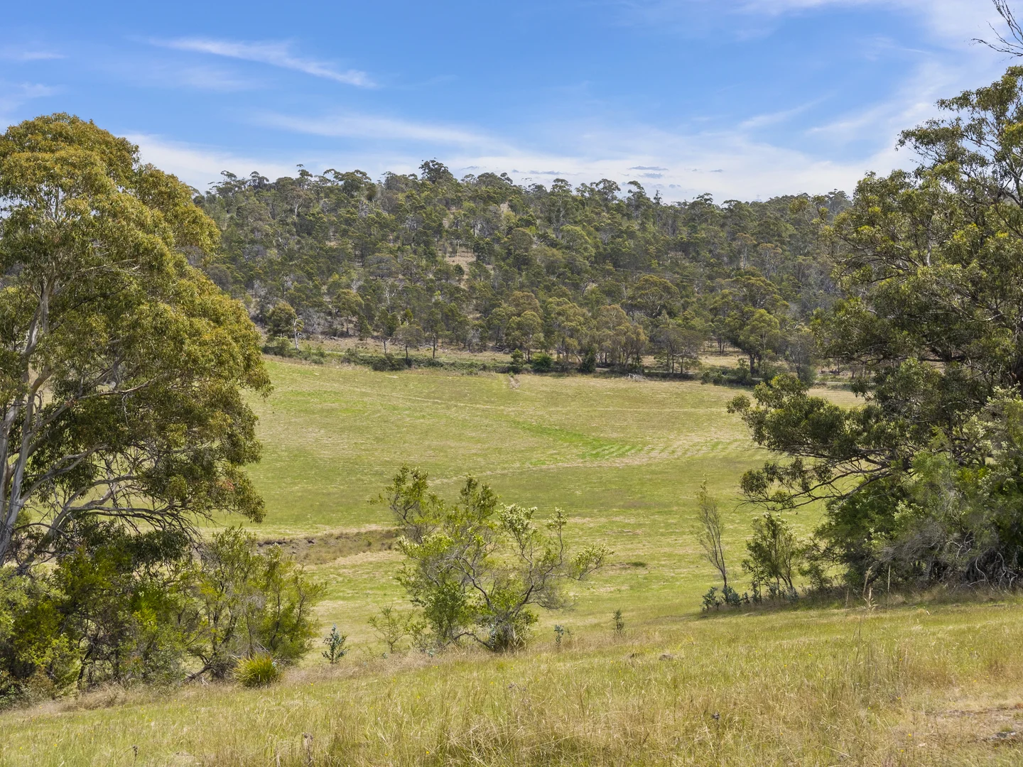 Additional image 26 of 1 Aldridge Road, Orielton TAS 7172